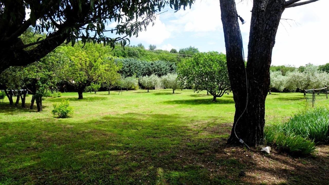 Bed and Breakfast La Bastide Des Roses Saint-Julien-d'Asse Esterno foto
