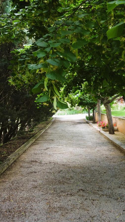 Bed and Breakfast La Bastide Des Roses Saint-Julien-d'Asse Esterno foto