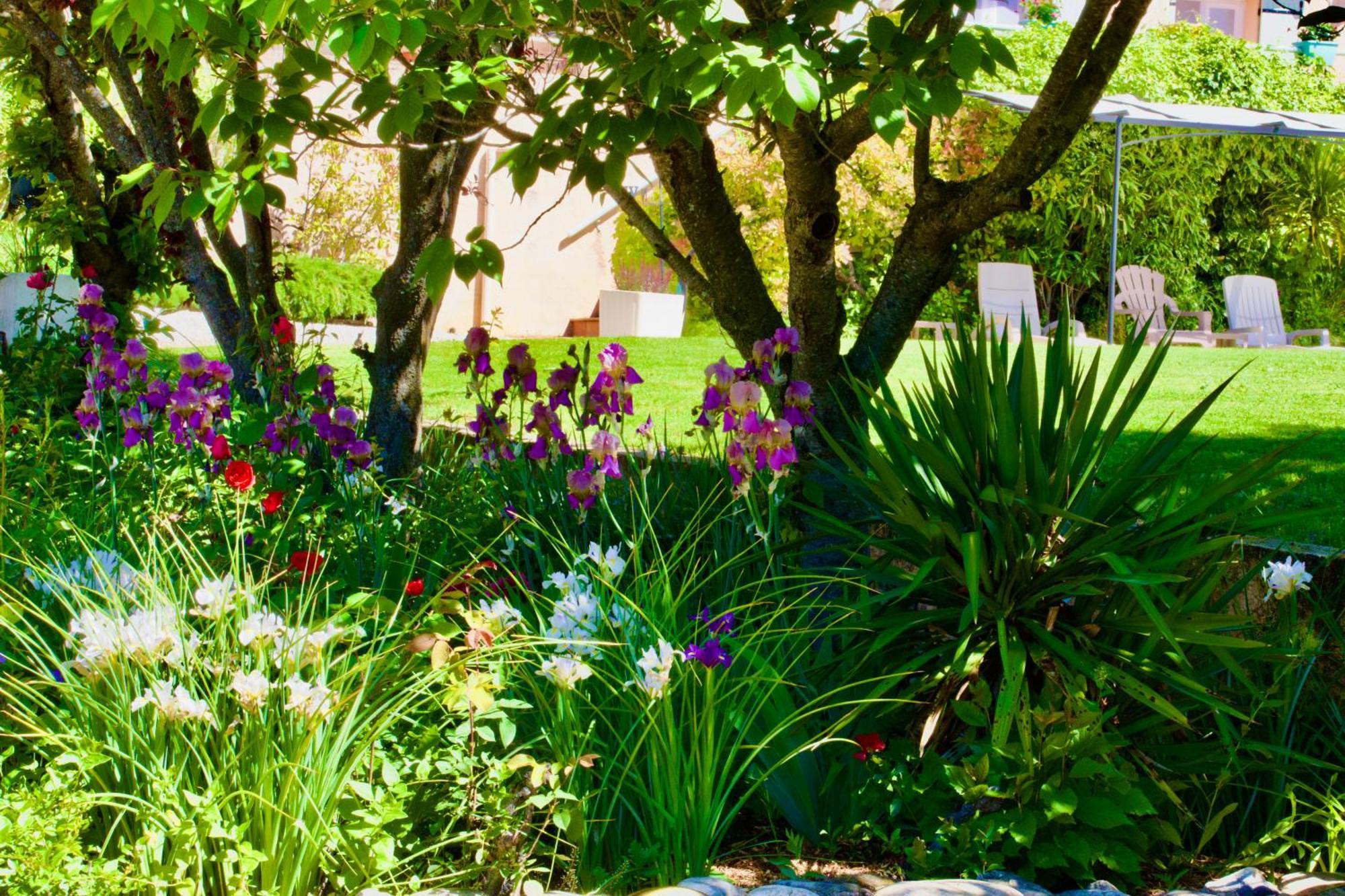 Bed and Breakfast La Bastide Des Roses Saint-Julien-d'Asse Esterno foto