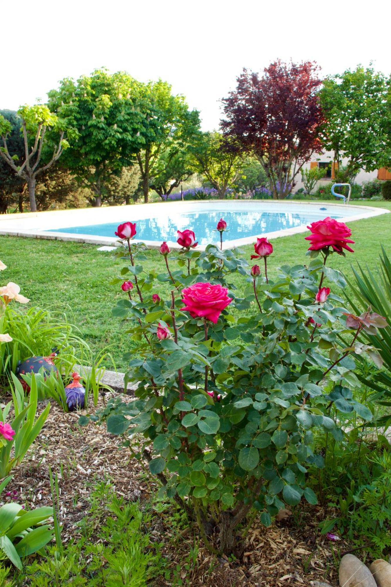 Bed and Breakfast La Bastide Des Roses Saint-Julien-d'Asse Esterno foto