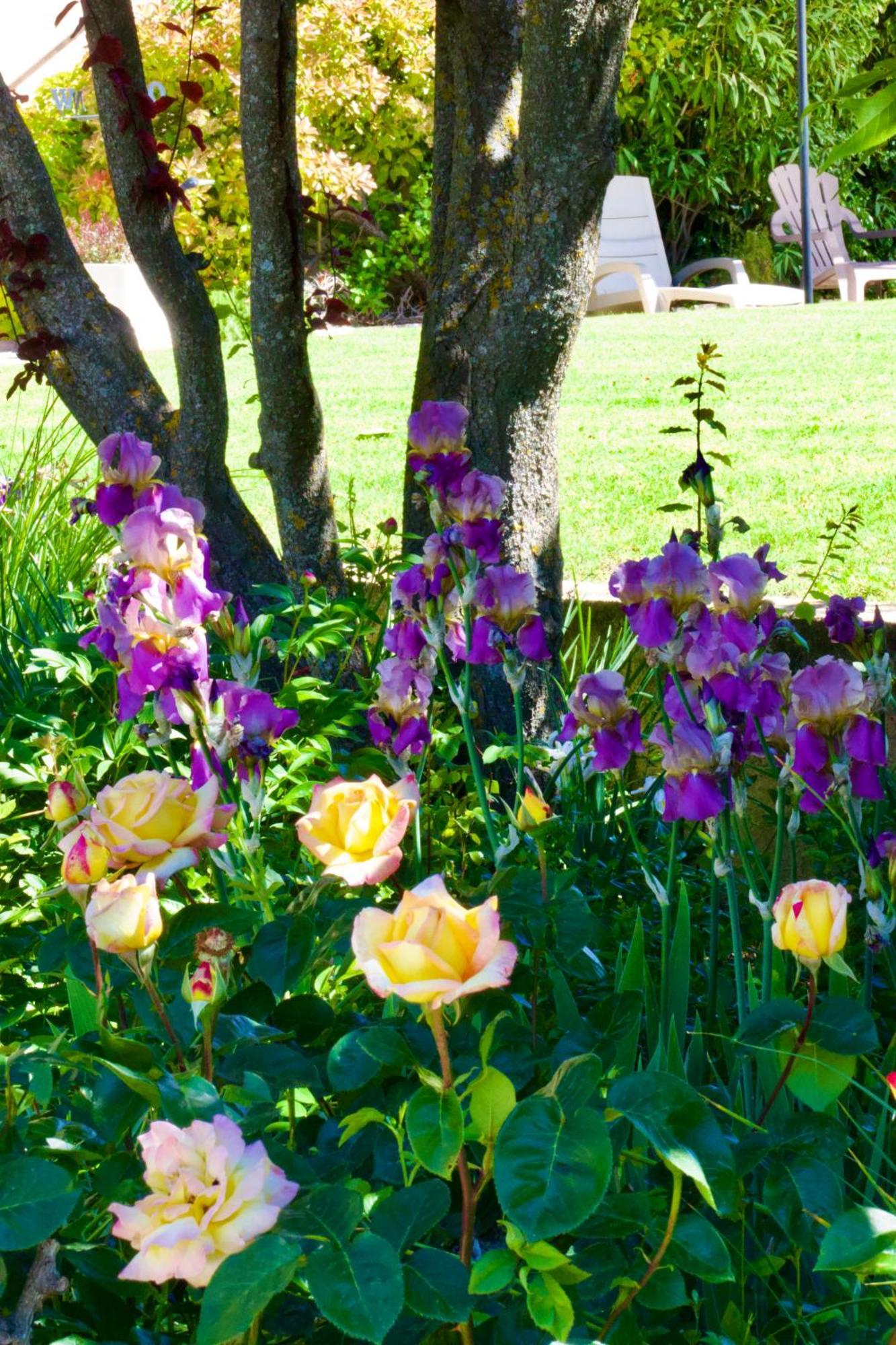 Bed and Breakfast La Bastide Des Roses Saint-Julien-d'Asse Esterno foto