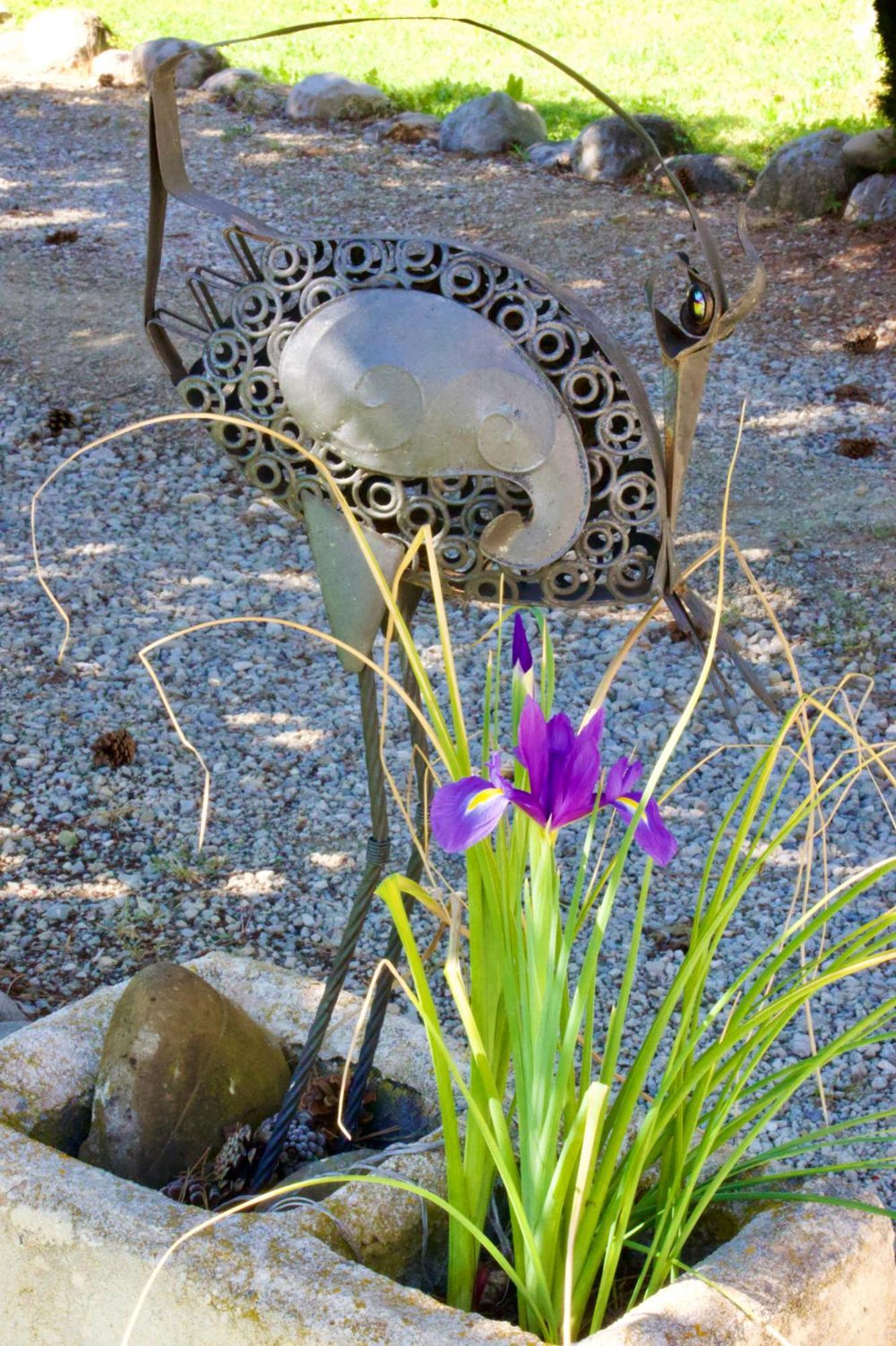 Bed and Breakfast La Bastide Des Roses Saint-Julien-d'Asse Esterno foto