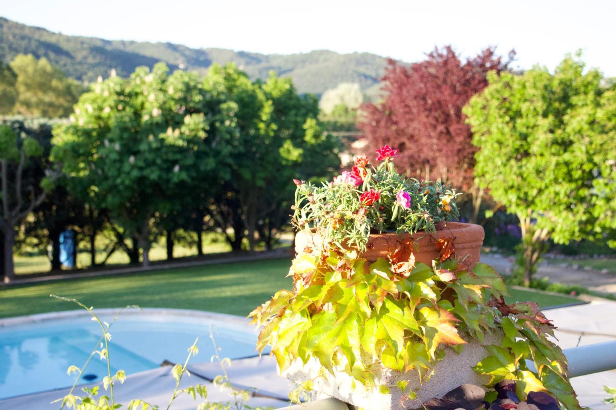 Bed and Breakfast La Bastide Des Roses Saint-Julien-d'Asse Esterno foto