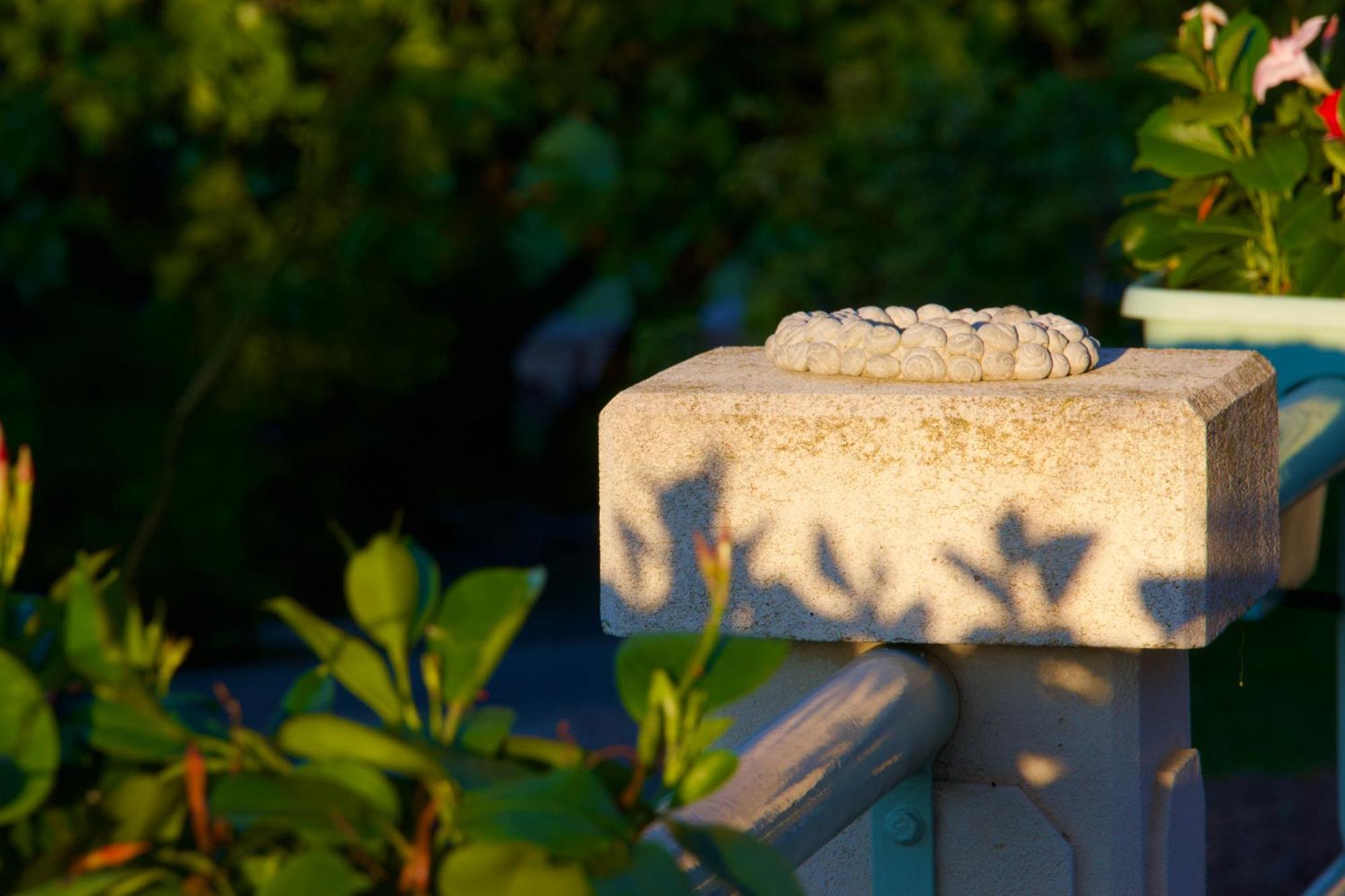 Bed and Breakfast La Bastide Des Roses Saint-Julien-d'Asse Esterno foto